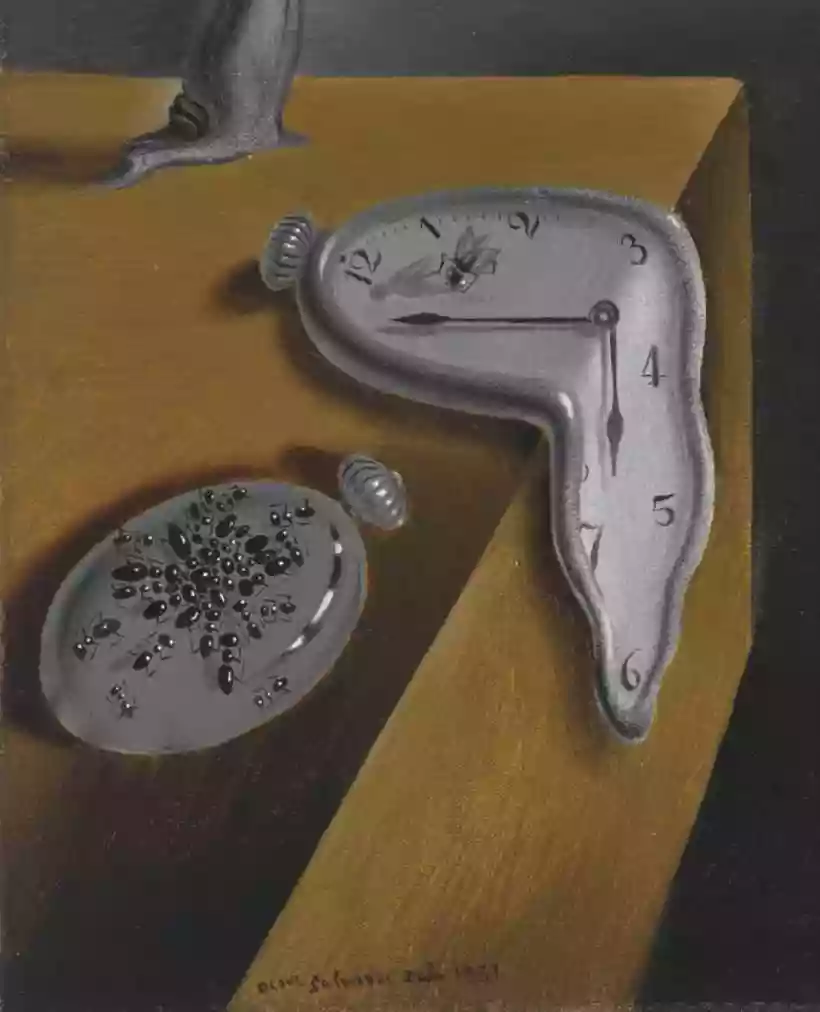 Ingrandisci questa immagine