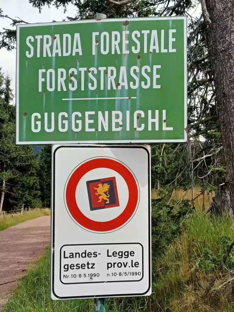 Ingrandisci questa immagine