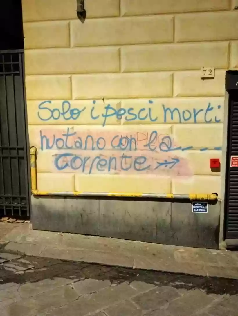 Ingrandisci questa immagine