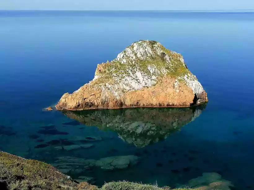 Ingrandisci questa immagine