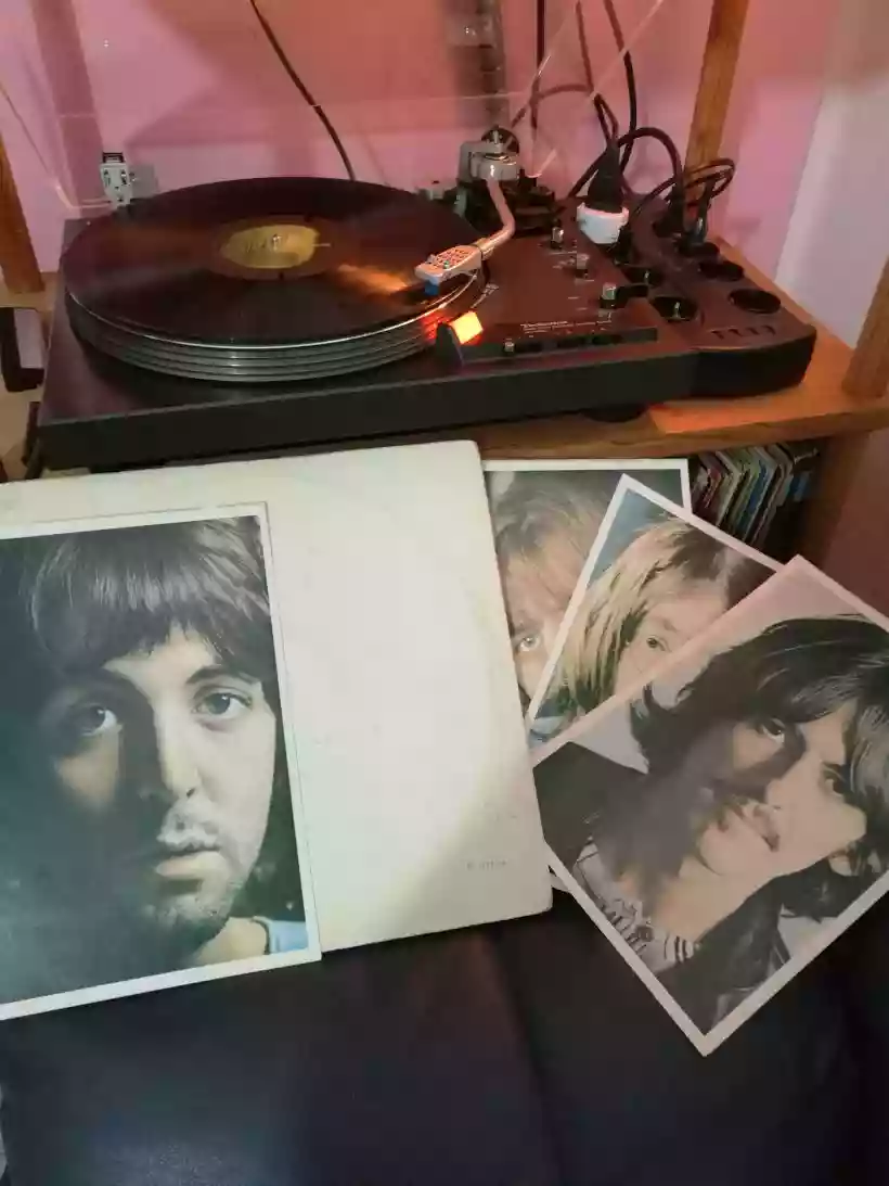 Ingrandisci questa immagine