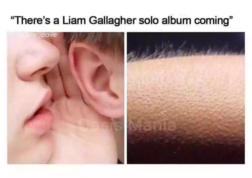 Ingrandisci questa immagine