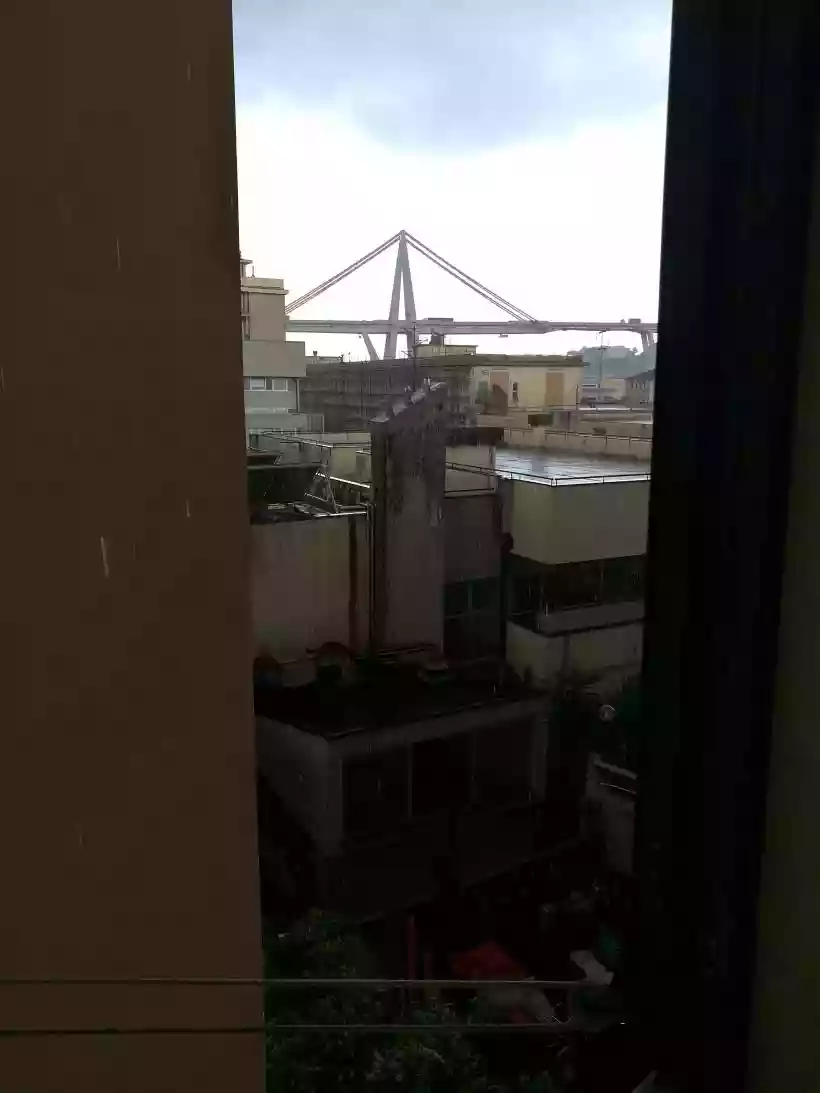 Ingrandisci questa immagine