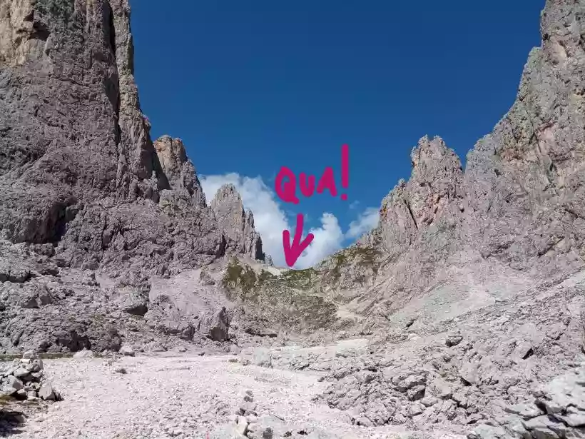 Ingrandisci questa immagine