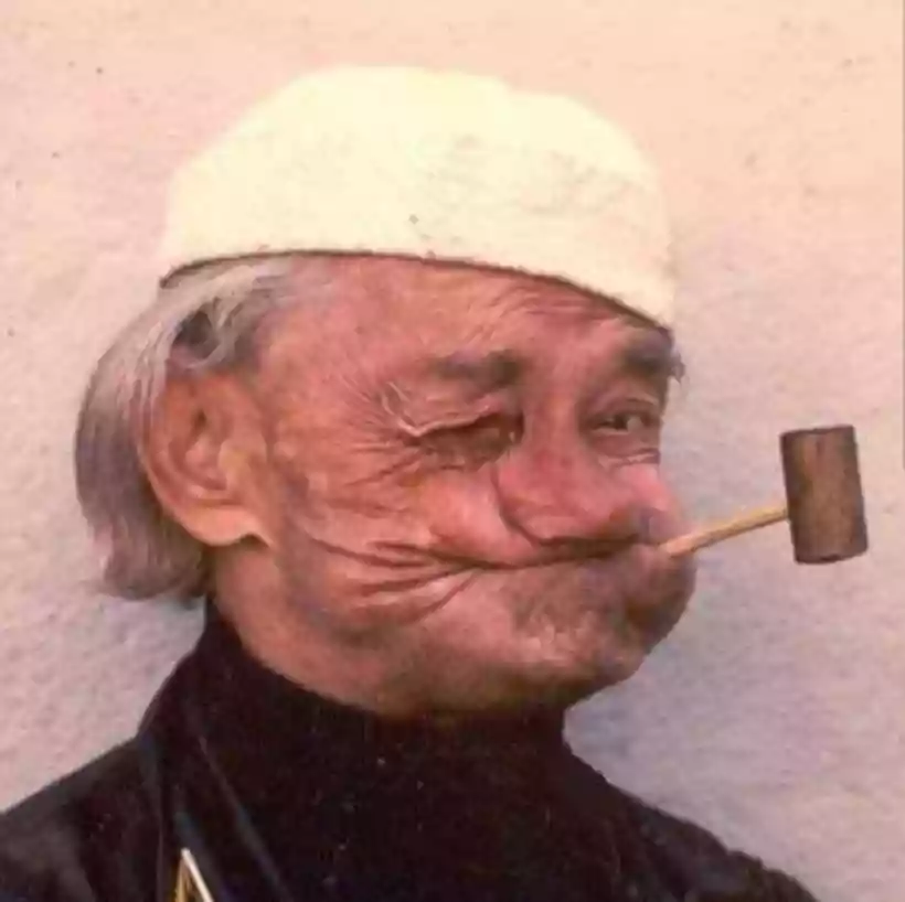 Ingrandisci questa immagine