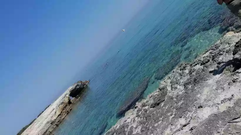 Ingrandisci questa immagine