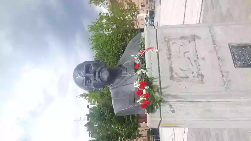 Ingrandisci questa immagine