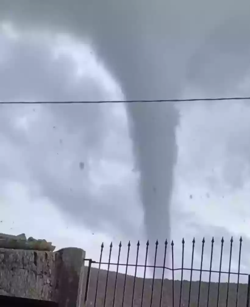 Ingrandisci questa immagine