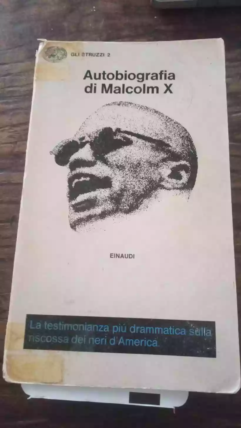 Ingrandisci questa immagine