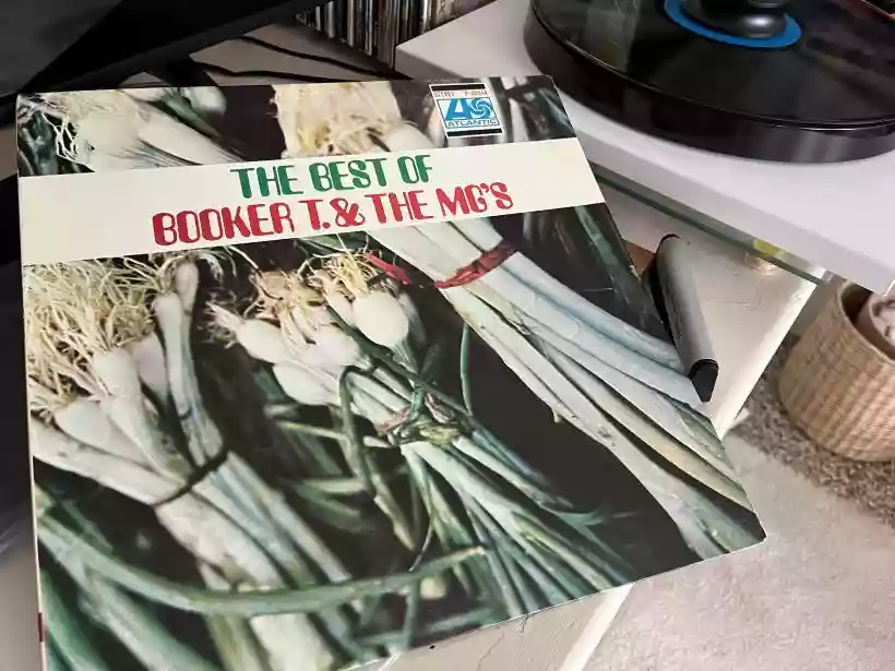 Ingrandisci questa immagine