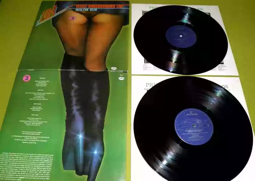 Ingrandisci questa immagine