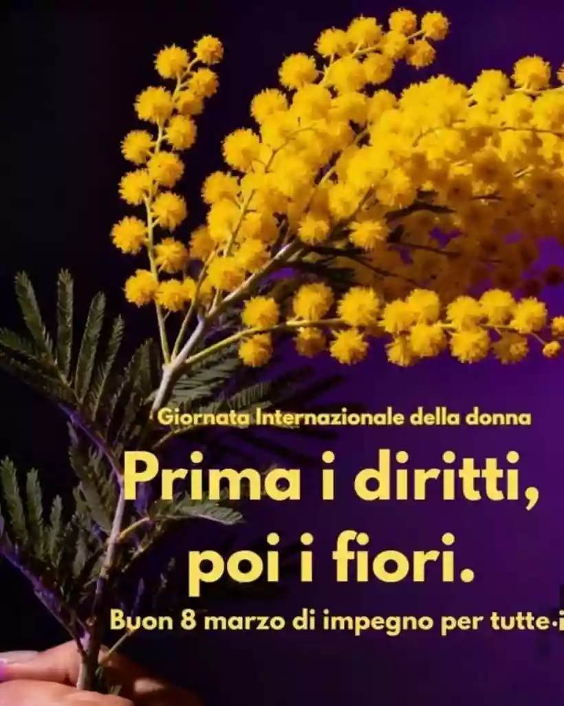 Ingrandisci questa immagine