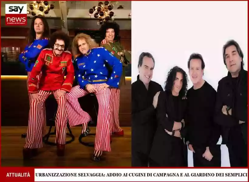 Ingrandisci questa immagine