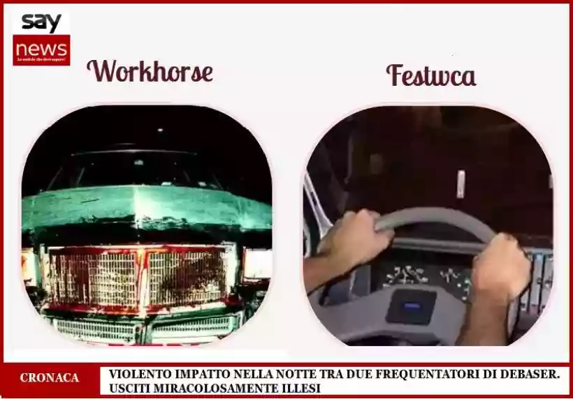 Ingrandisci questa immagine