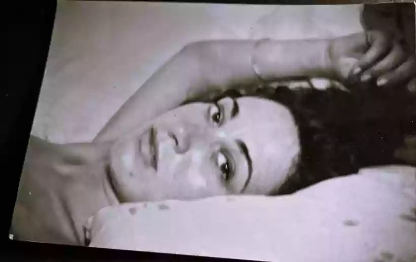 Ingrandisci questa immagine