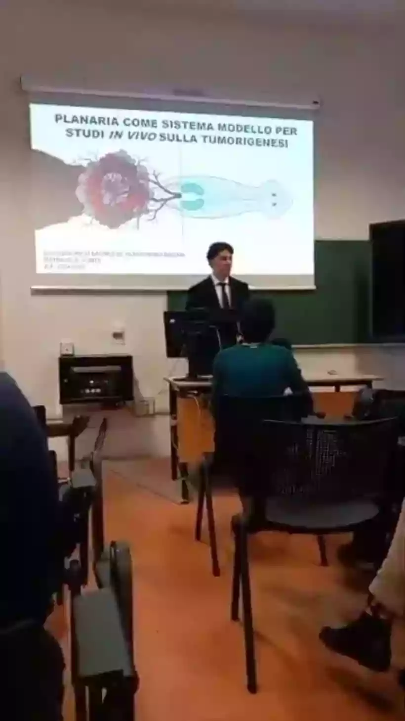 Ingrandisci questa immagine