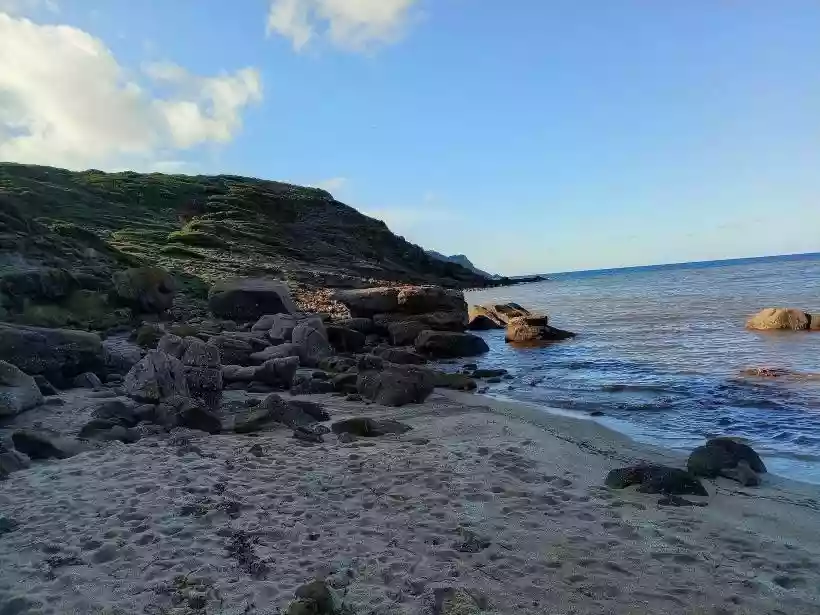 Ingrandisci questa immagine