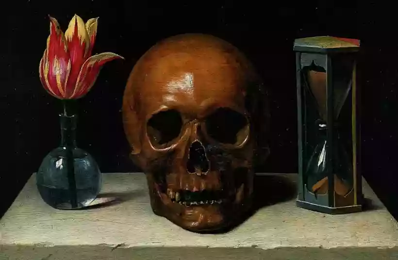 Ingrandisci questa immagine