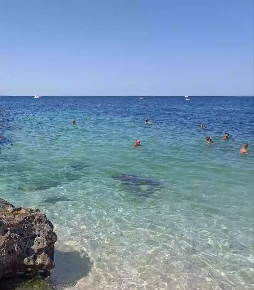 Ingrandisci questa immagine