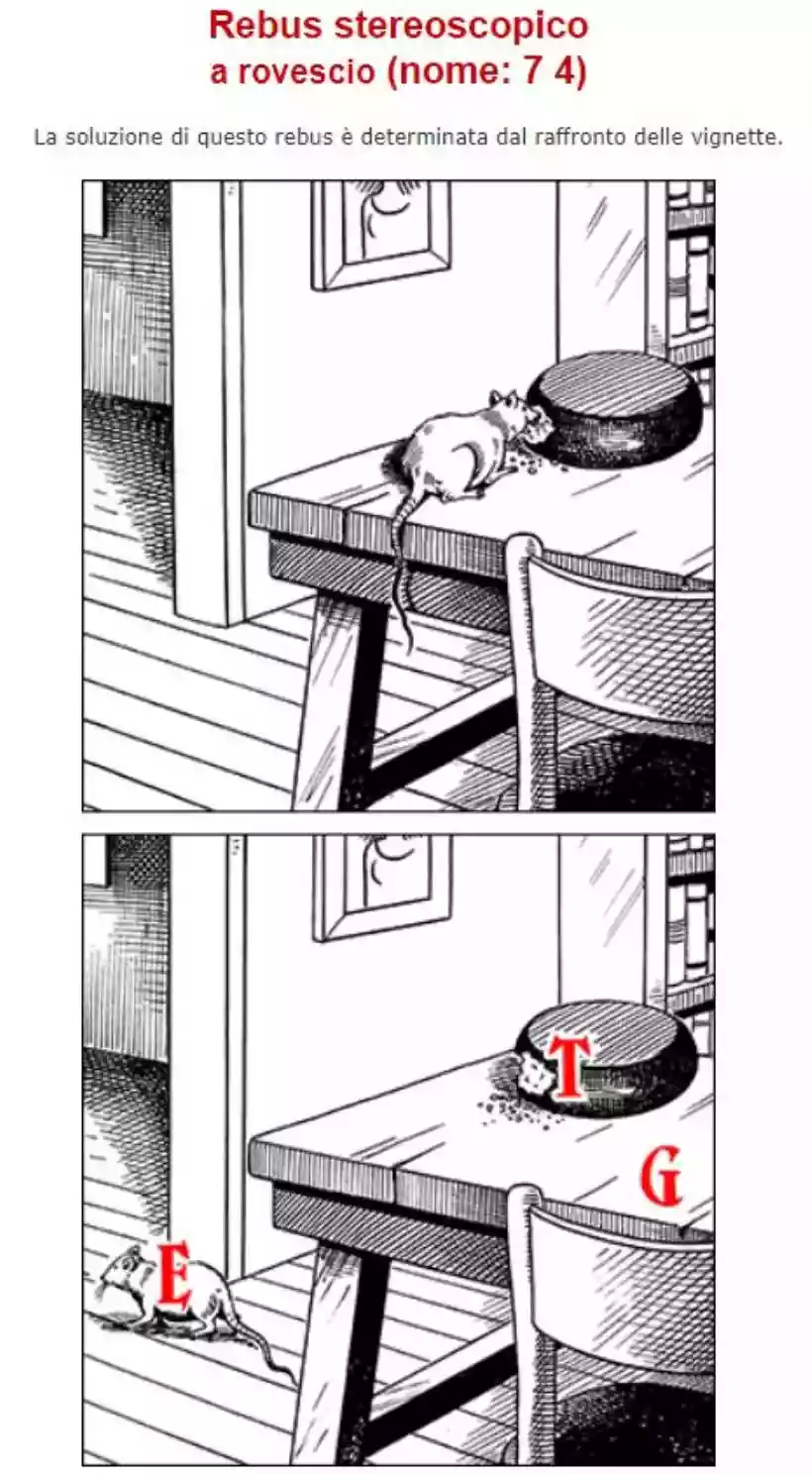 Ingrandisci questa immagine
