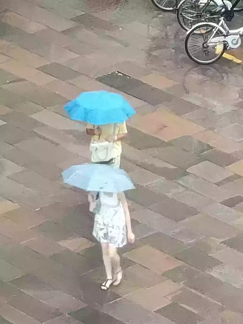 Ingrandisci questa immagine