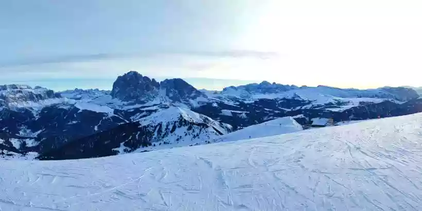 Ingrandisci questa immagine
