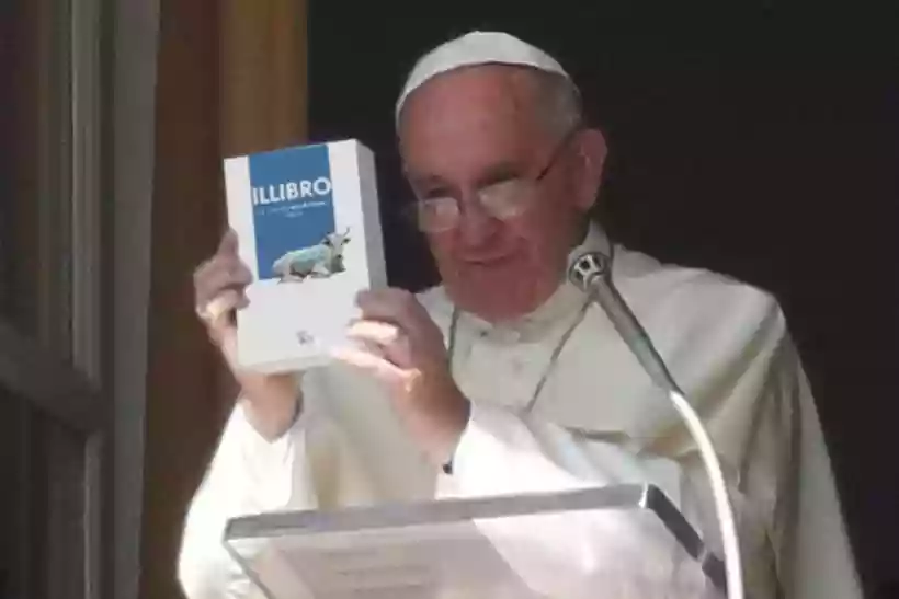 Ingrandisci questa immagine