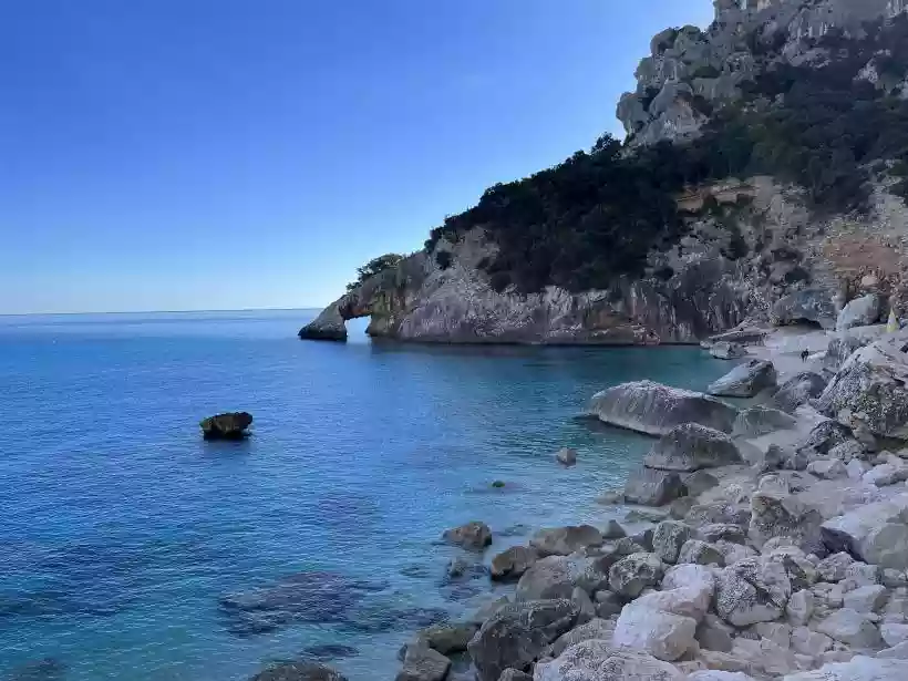 Ingrandisci questa immagine