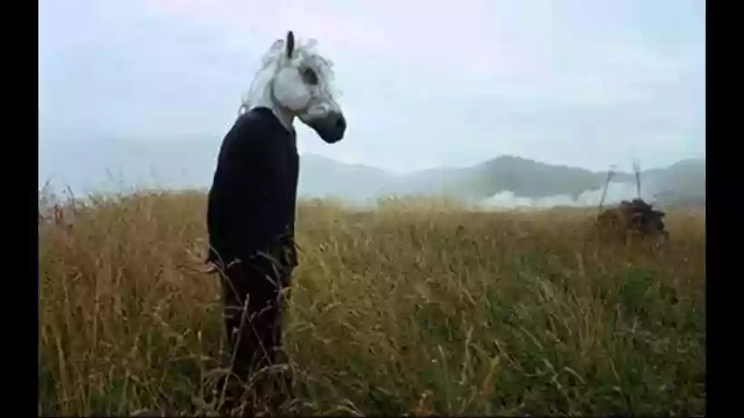 Ingrandisci questa immagine