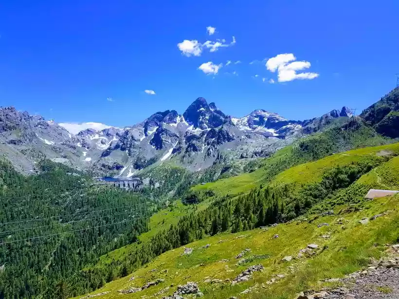 Ingrandisci questa immagine