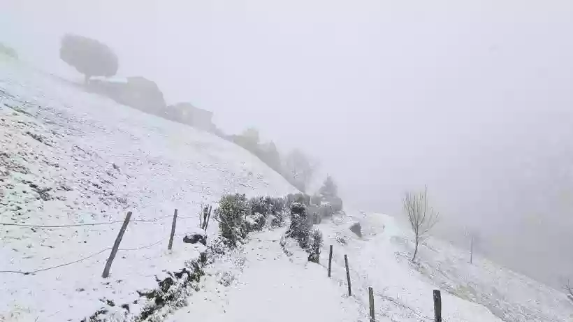 Ingrandisci questa immagine