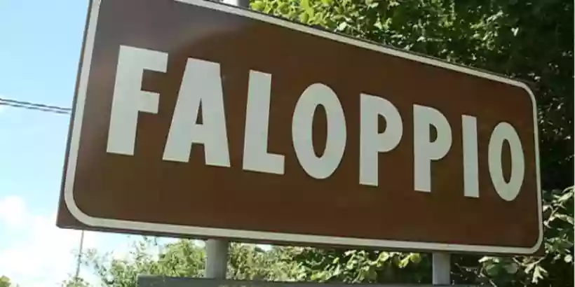 Ingrandisci questa immagine