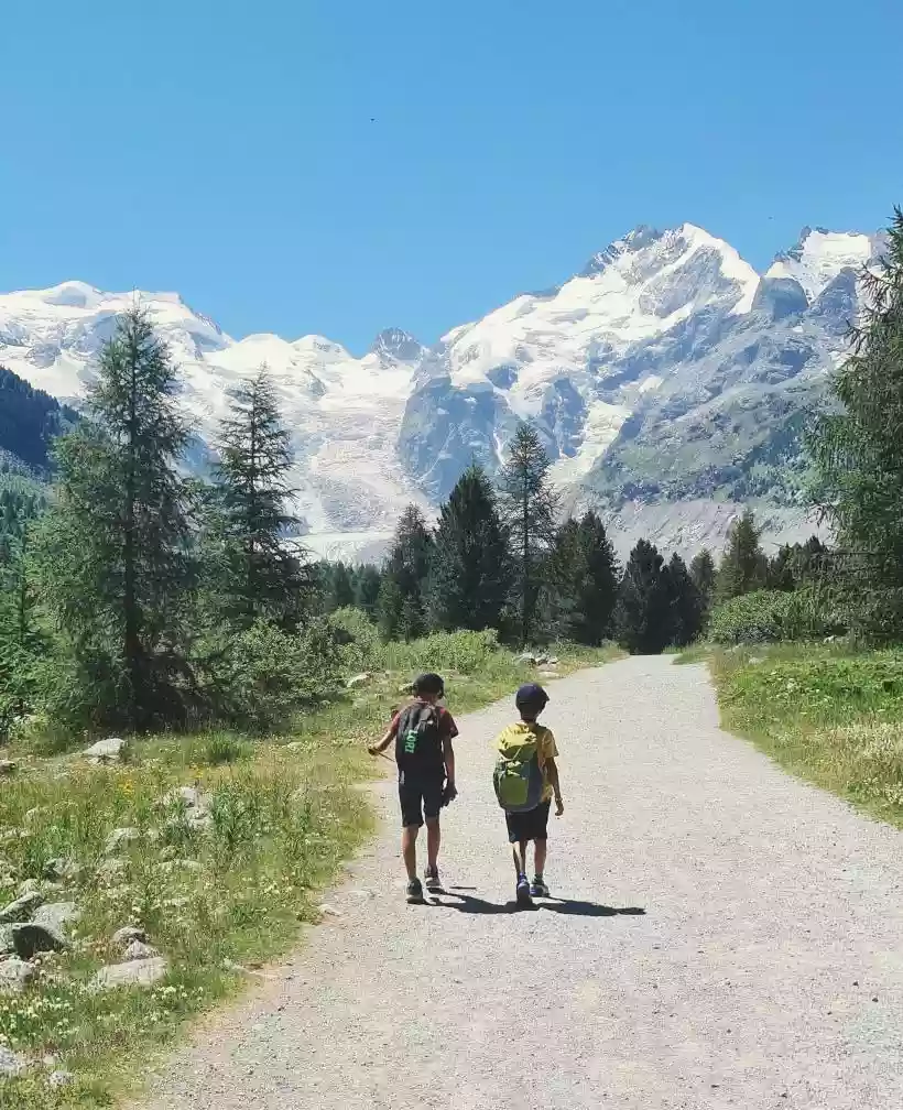 Ingrandisci questa immagine
