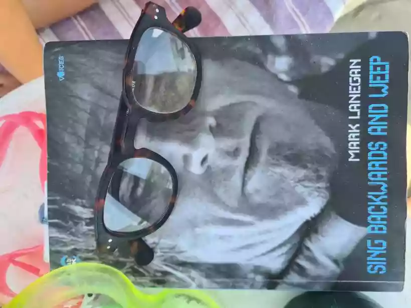 Ingrandisci questa immagine