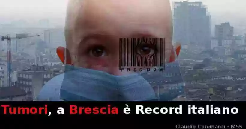 Ingrandisci questa immagine