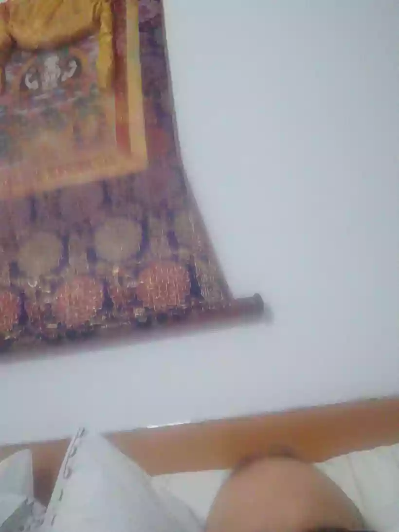 Ingrandisci questa immagine