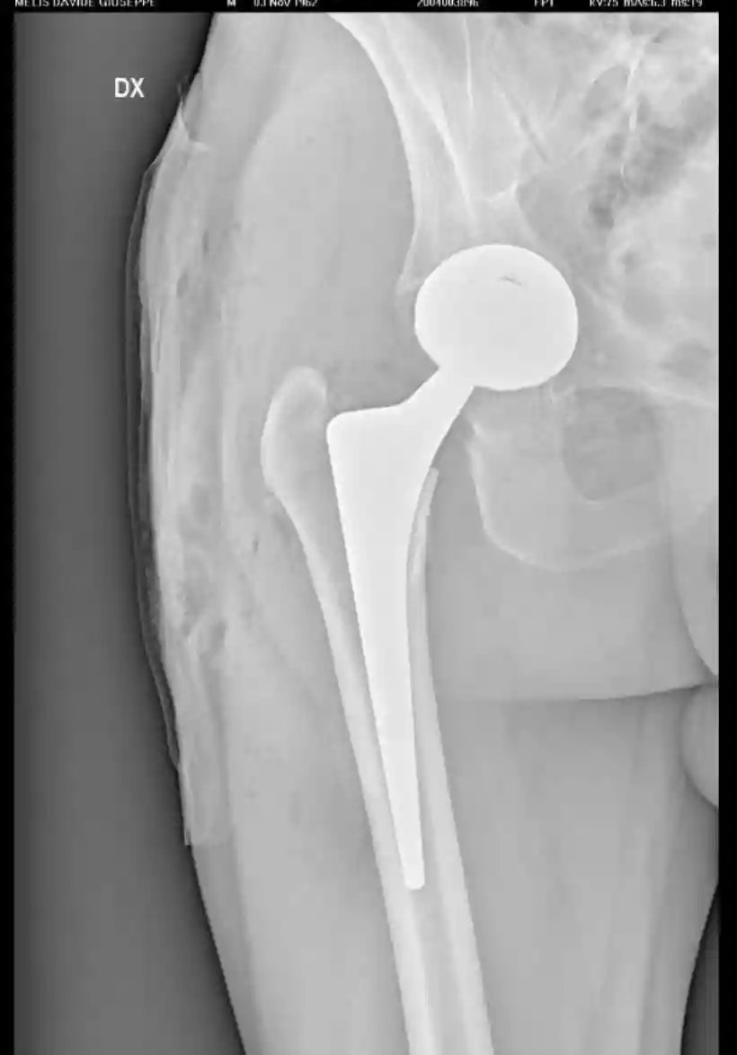 Ingrandisci questa immagine