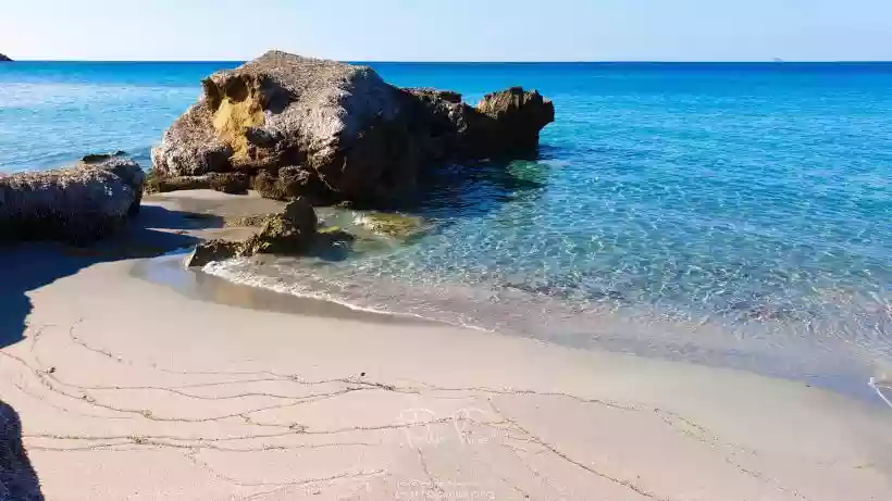 Ingrandisci questa immagine