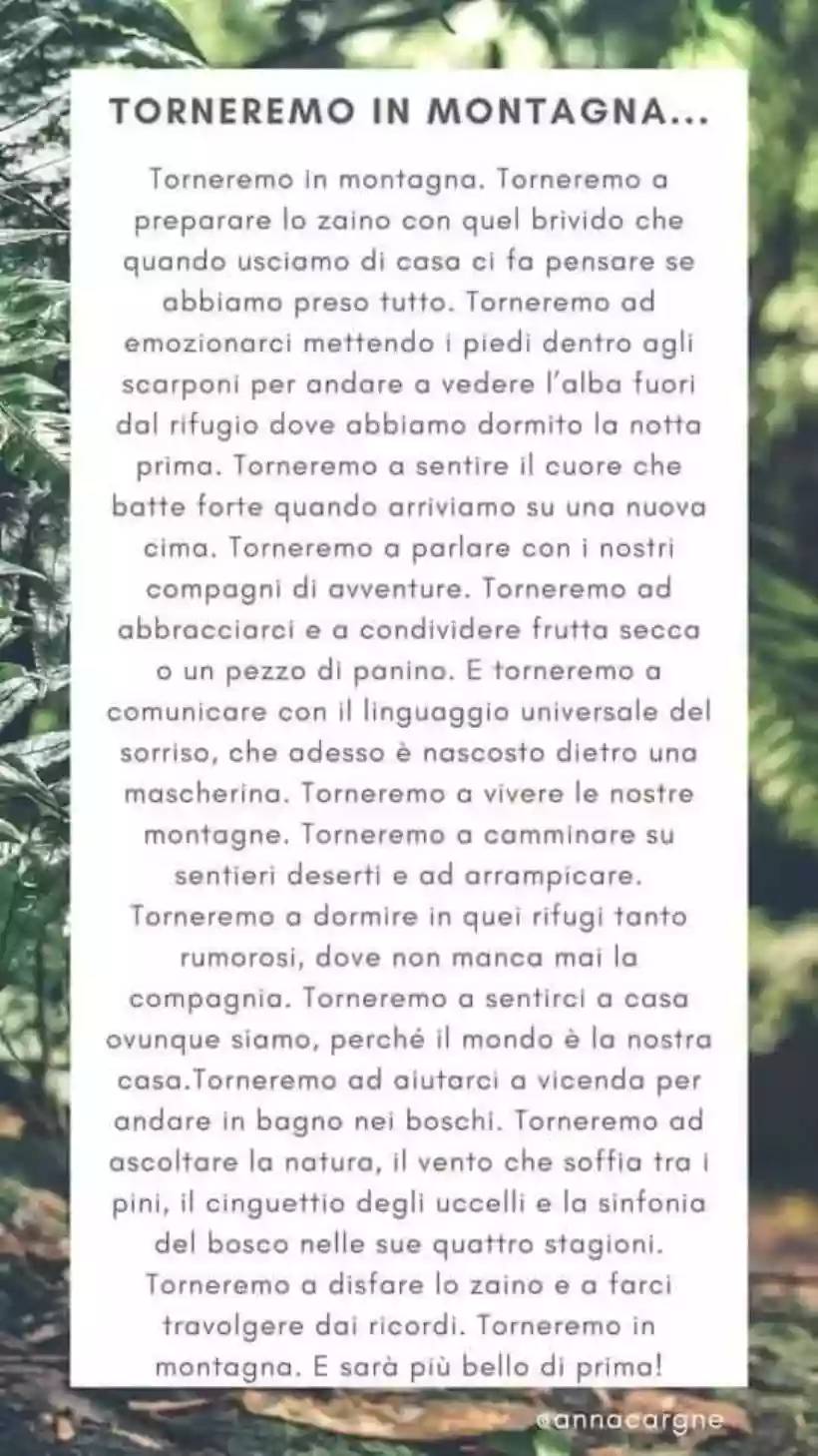 Ingrandisci questa immagine