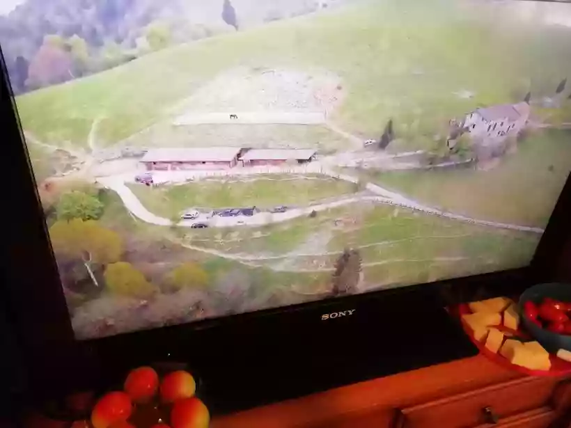 Ingrandisci questa immagine