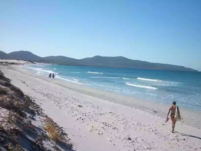 Ingrandisci questa immagine