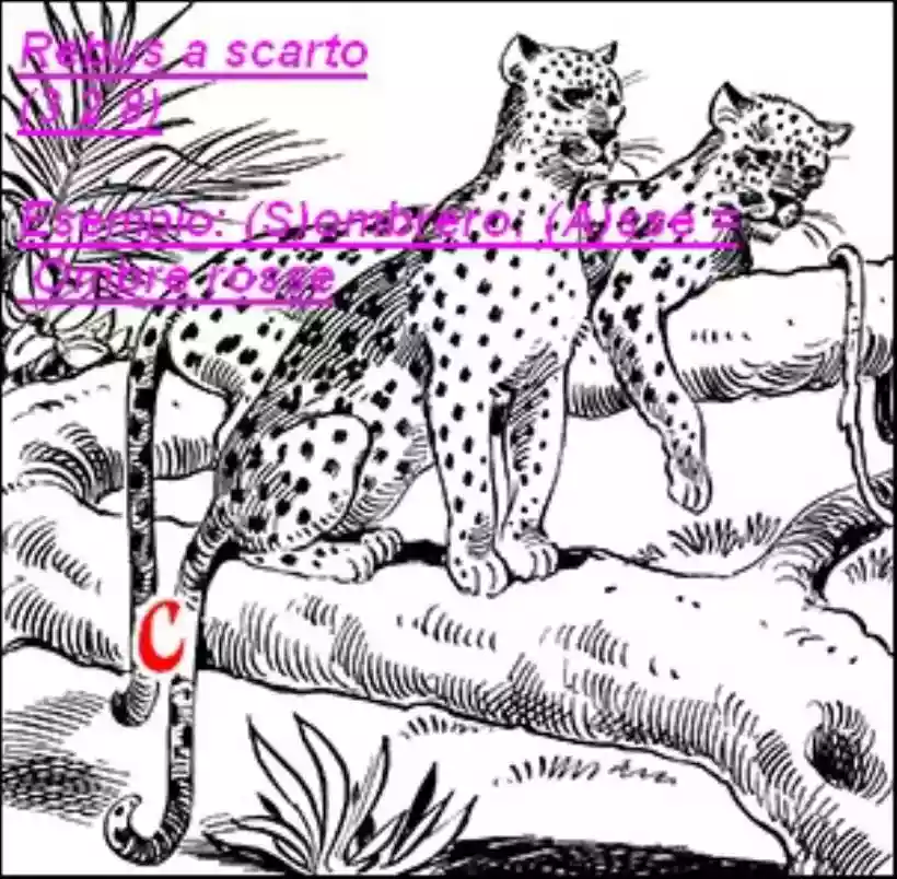 Ingrandisci questa immagine