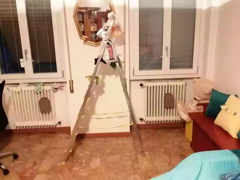 Ingrandisci questa immagine
