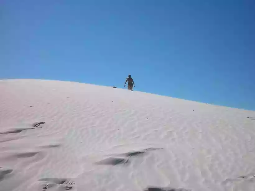 Ingrandisci questa immagine