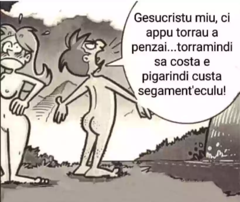 Ingrandisci questa immagine