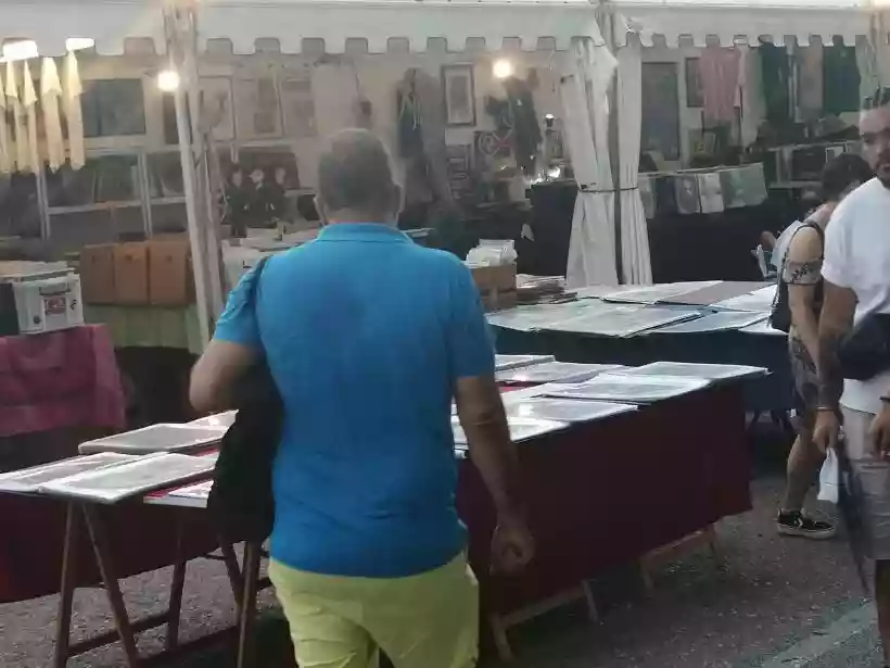 Ingrandisci questa immagine