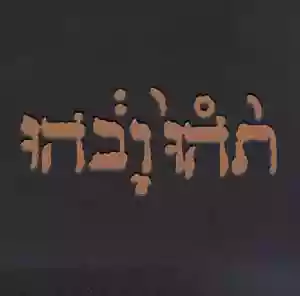 Godspeed You Black Emperor!: Slow Riot For New Zero Kanada [EP]
