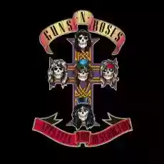 Guns And Roses: Appetite For Destruction