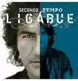 Ligabue: Secondo tempo