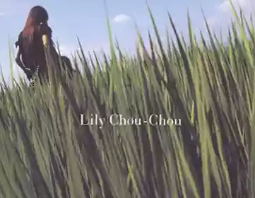 Lily Chou Chou: All About Lily Chou Chou